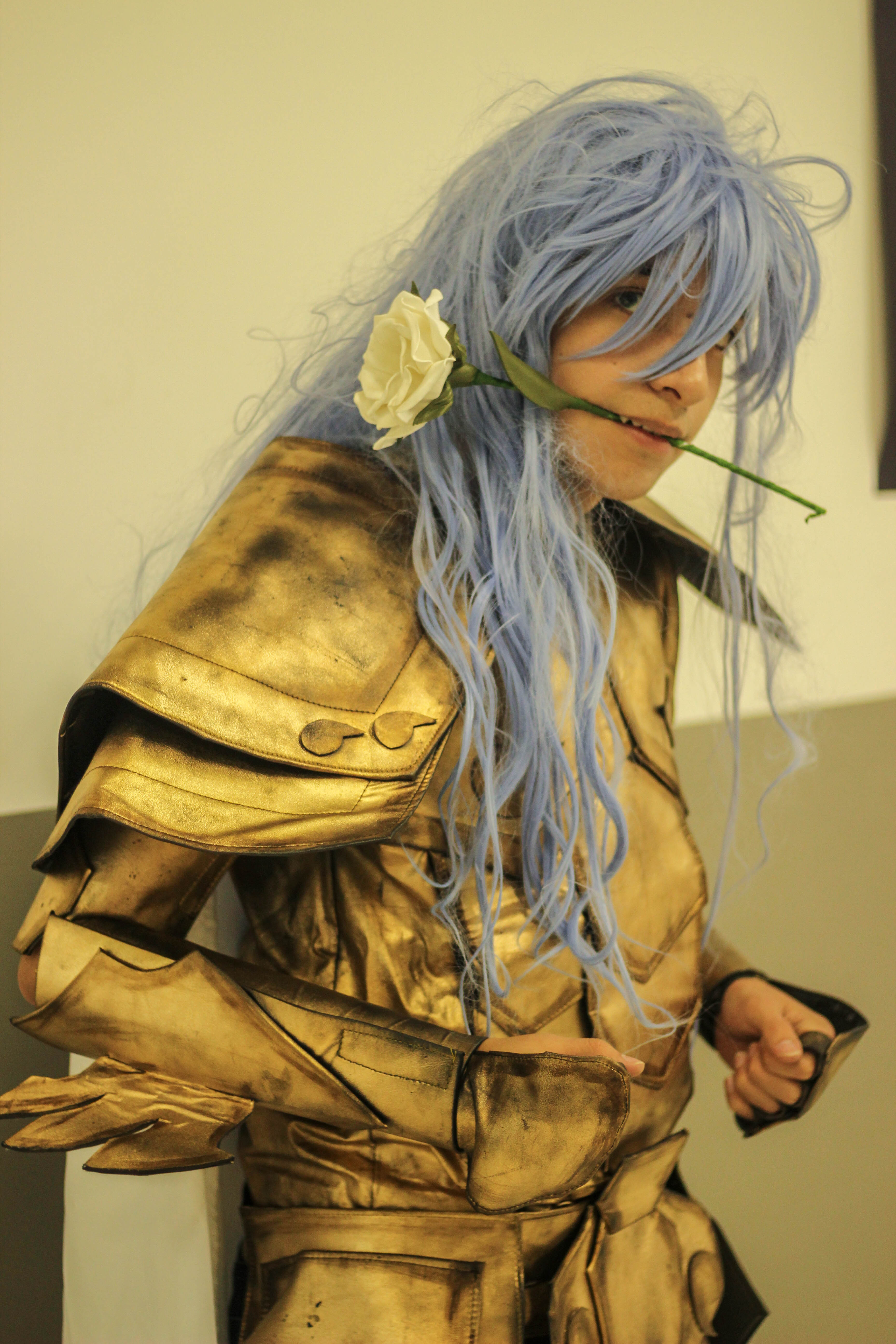 BAF Barueri Anime Fest Cosplay (6 de 66)