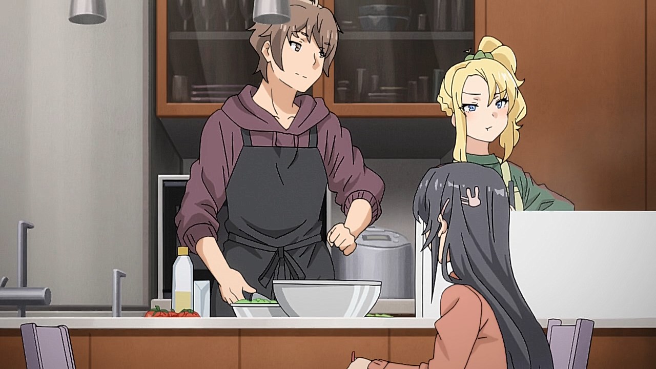 Rascal Does Not Dream of Bunny Girl Senpai (Seishun Buta Yarou wa Bunny Girl Senpai no Yume wo Minai) - Resenha 11