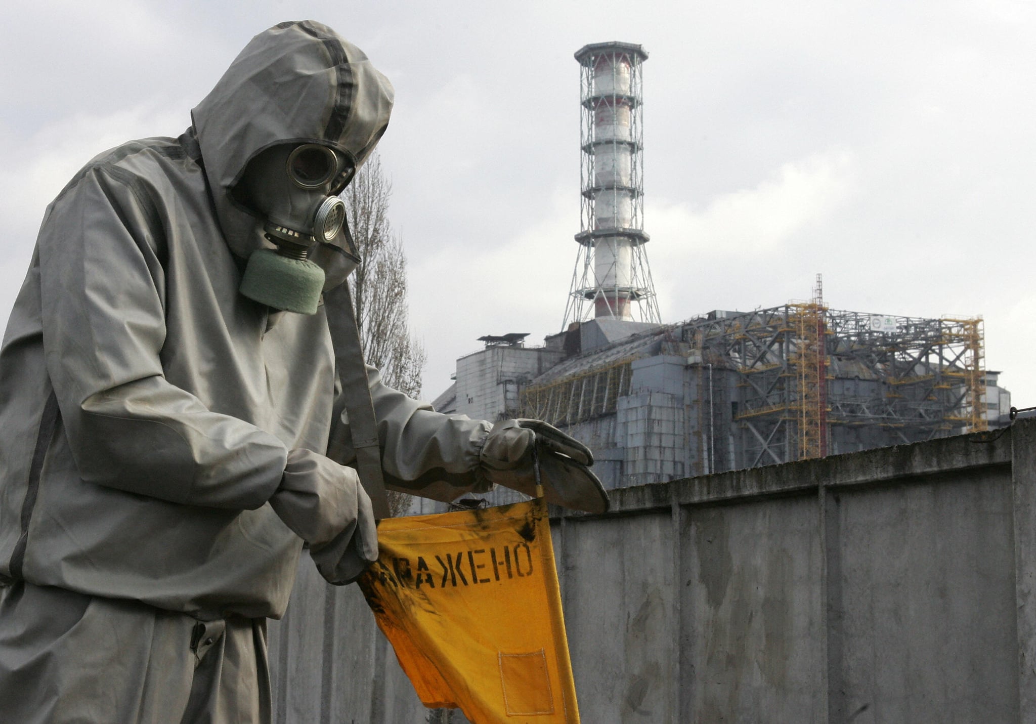 chernobyl-nuclear-disaster-altered-the-genetics-of-the-dogs-left-behind