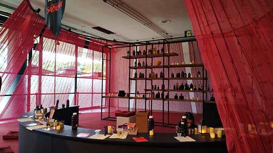 Tudum Festival da Netflix