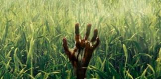 Campo do Medo (Netflix) – Resenha Campo do Medo