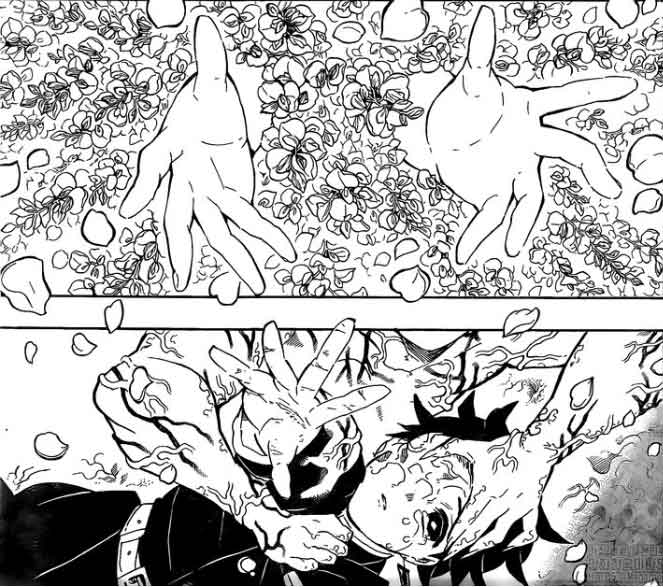 Demon Slayer capítulo 203, Tanjiro retorna dos mortos
