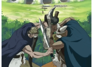 Arco Little Garden – One Piece | Análise