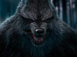 Análise Werewolf The Apocalipse