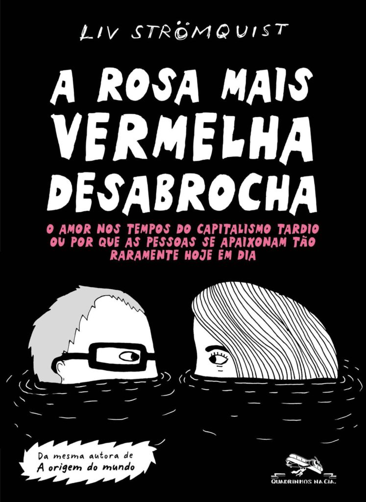 a rosa mais vermelha desabrocha