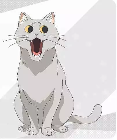 Personagens de Uzaki-chan