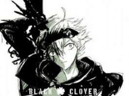 cropped-Asta-Black-Clover-5.jpg