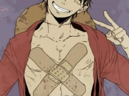 Monkey D. Luffy ONE PIECE