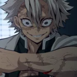 Cada Hashira em Demon Slayer, classificada em sua casa de Hogwarts Sanemi Shinazugawa - Cada Hashira em Demon Slayer (Kimetsu no Yaiba), classificada em sua casa de Hogwarts