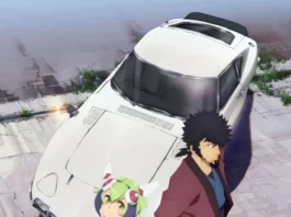 DIMENSION W