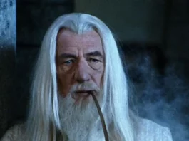 Ian McKellen como Gandalf em Senhor dos Anéis