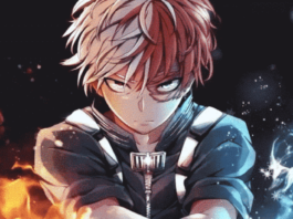 my hero academia shoto todoroki