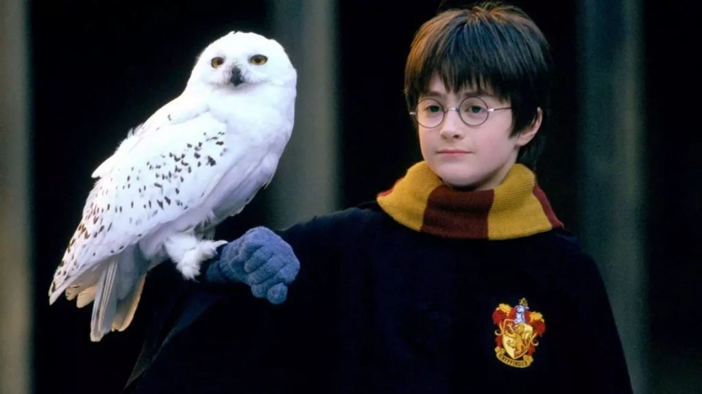 Daniel Radcliffe em Harry Potter e a Pedra Filosofal