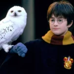 Warner quer desenvolver novos conteúdos de Harry Potter Daniel Radcliffe em Harry Potter e a Pedra Filosofal