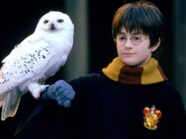 Daniel Radcliffe em Harry Potter e a Pedra Filosofal