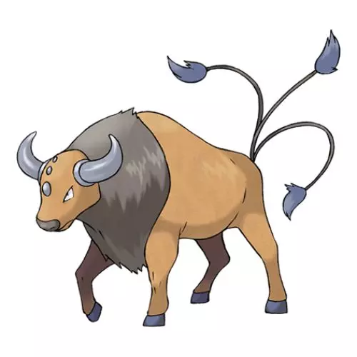 Tauros pokemon