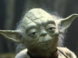 Yoda