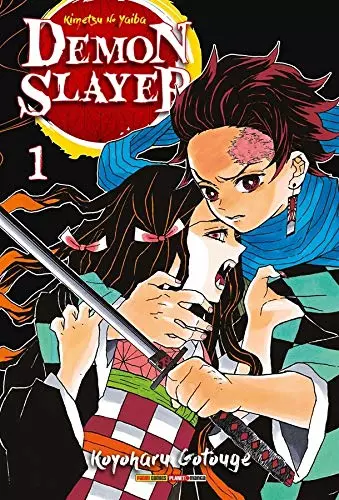 Demon Slayer - Kimetsu No Yaiba