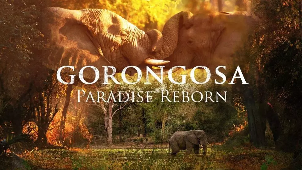 Gorongosa Paradise Reborn