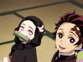 Demon Slayer (Kimetsu no Yaiba)
