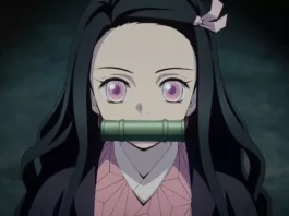 Demon Slayer (Kimetsu no Yaiba)