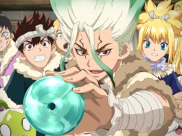 Dr. Stone