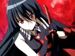 AKAME (AKAME GA KILL!)