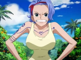 Nojiko one piece