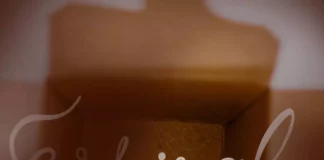 Filme ‘Espiral’ estreou em Novo Hamburgo (RS) Filme 'Espiral'