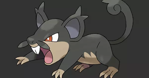 Alolan Rattata