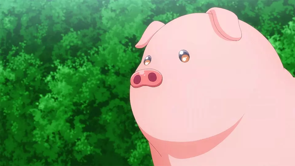 BUTAREBA THE STORY OF A MAN TURNED INTO A PIG