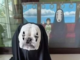 Cãozinho Bulldog inglês faz cosplay de Sem Face de Viagem de Chihiro