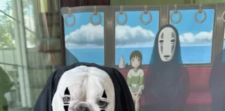 Cãozinho Bulldog inglês faz cosplay de Sem Face de Viagem de Chihiro Cãozinho Bulldog inglês faz cosplay de Sem Face de Viagem de Chihiro