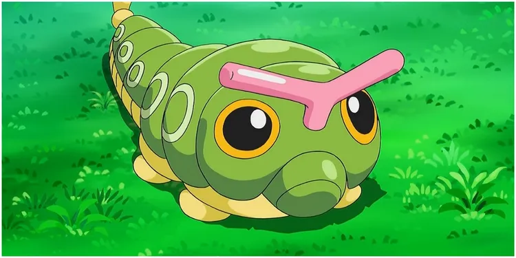 Caterpie