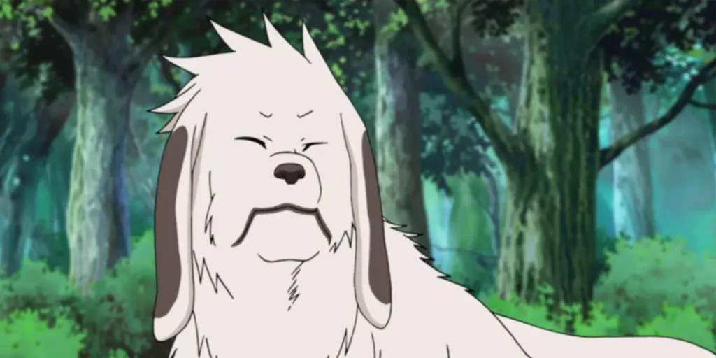 Akamaru