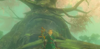 The Lost Woods: o local mais misterioso de The Legend of Zelda The Lost Woods