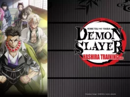 Demon Slayer Hashira Training Arc