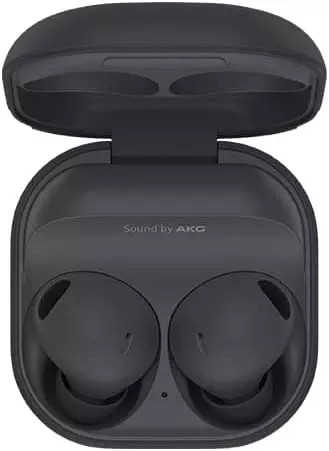 Galaxy Buds2 Pro Grafite