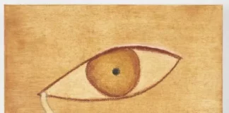 Pinacoteca de São Paulo apresenta mostra panorâmica de Cecilia Vicuña A lágrimas de Tara (uma oração pelo mundo), 2021