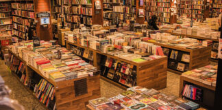 Livros de terror brasileiros: conheça 10 obras contemporâneas imperdíveis livros de terror brasileiro enchem as livrarias