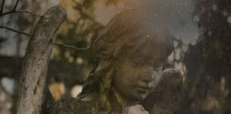 Um conto de Natal diferente para te emocionar: As Luzes que Não Brilham Mais A autora Austra Caroline Pinheiro, que já tem fama de criar histórias que mexem com o coração da gente, acaba de lançar o conto As Luzes que Não Brilham Mais.