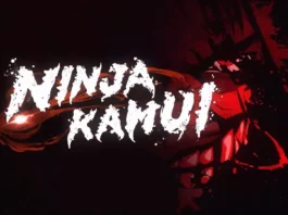 ninja kamui