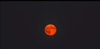 Austra Caroline Lança Novo Livro na Amazon: “Quando o Luto Encontra a Lua e Outras Crônicas Sobrenaturais” Quando o Luto Encontra a Lua e Outras Crônicas Sobrenaturais