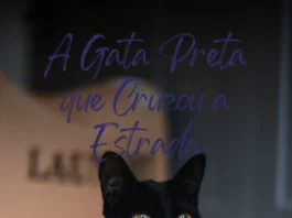 Lançamento oficial: “A Gata Preta que Cruzou a Estrada” já está disponível na Amazon!